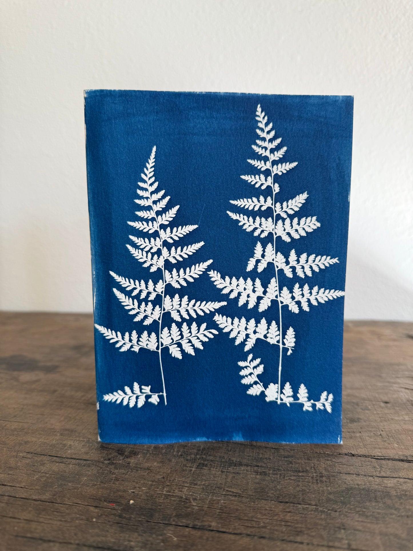 Set of 4 Unique Cyanotype Greeting Cards