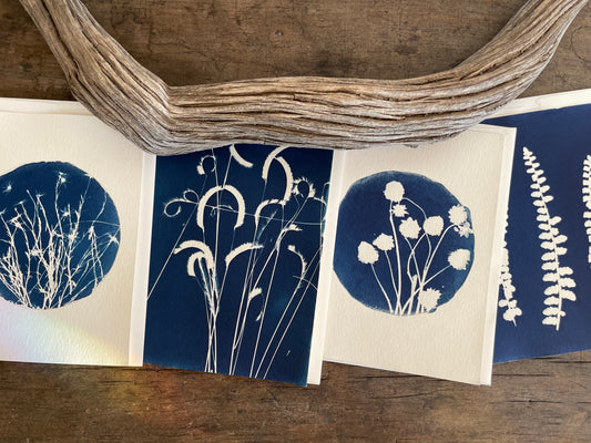 Set of 4 Unique Cyanotype Greeting Cards