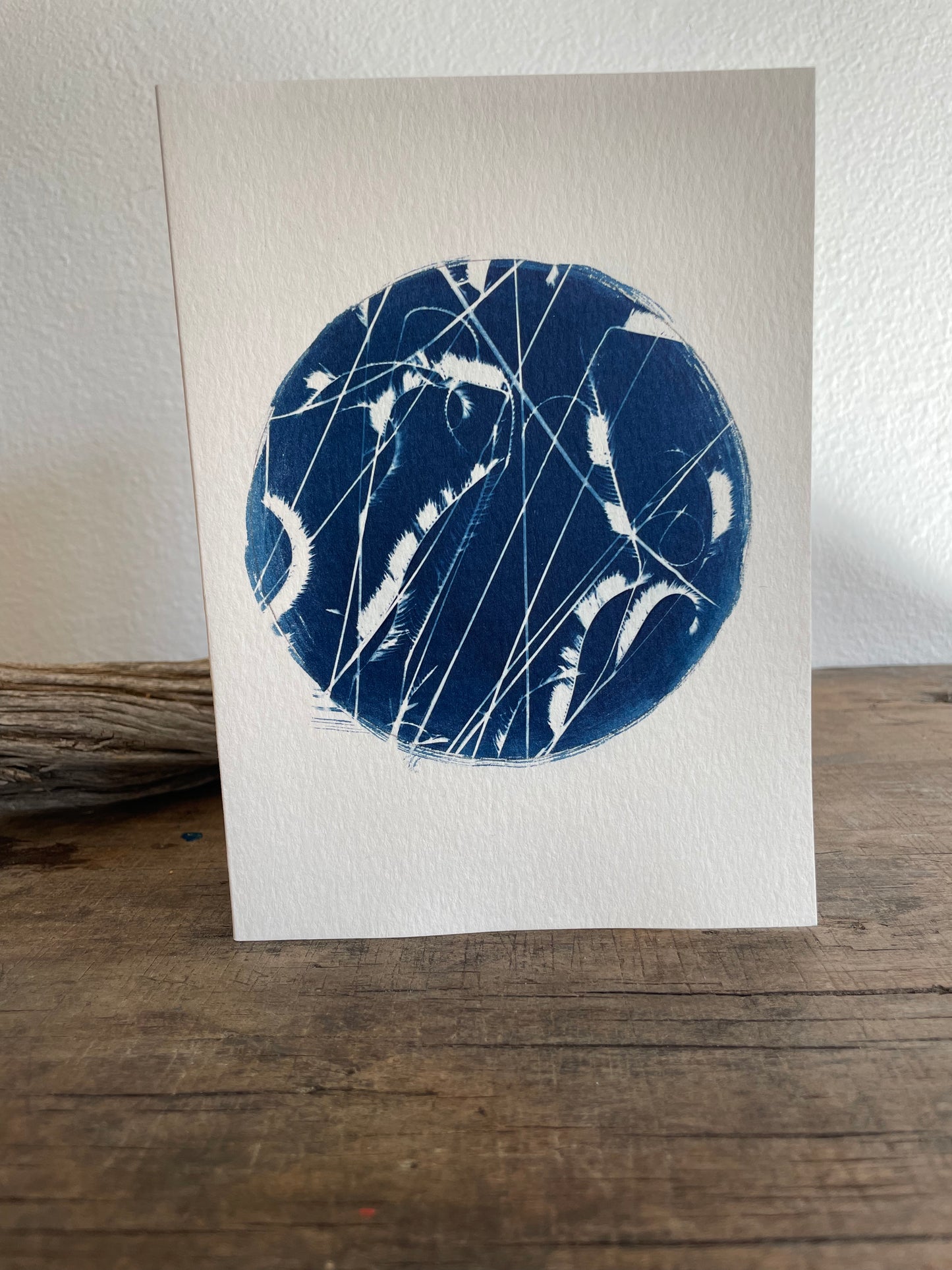 Set of 4 Unique Cyanotype Greeting Cards