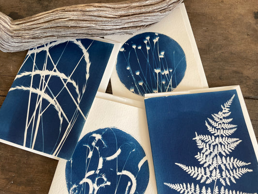 Set of 4 Unique Cyanotype Greeting Cards