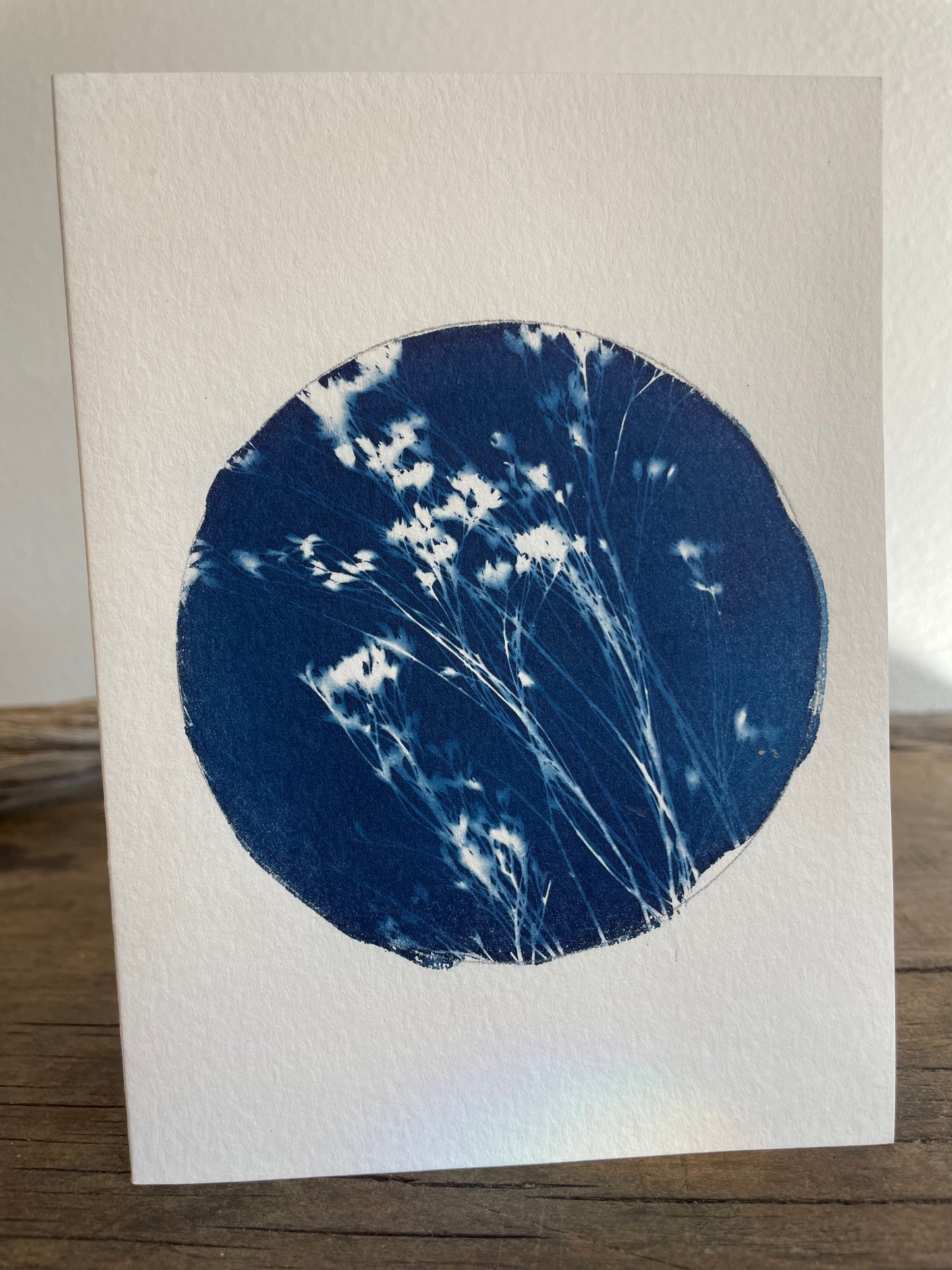 Set of 4 Unique Cyanotype Greeting Cards