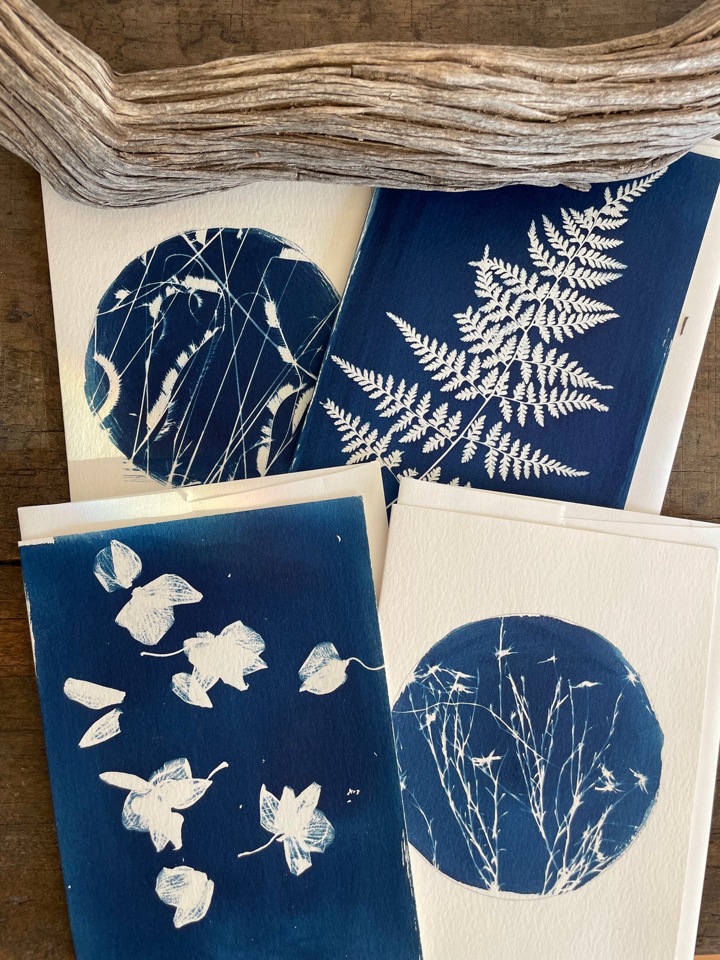 Set of 4 Unique Cyanotype Greeting Cards