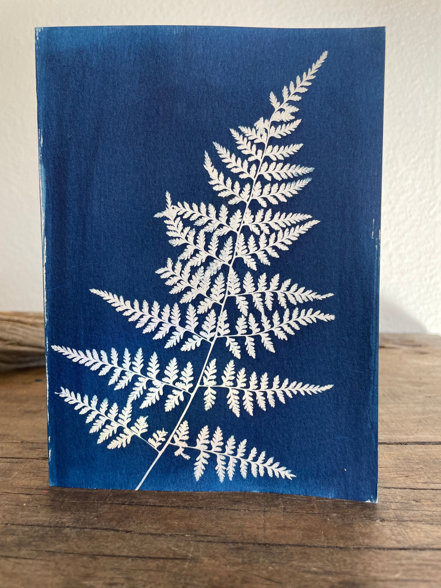 Set of 4 Unique Cyanotype Greeting Cards