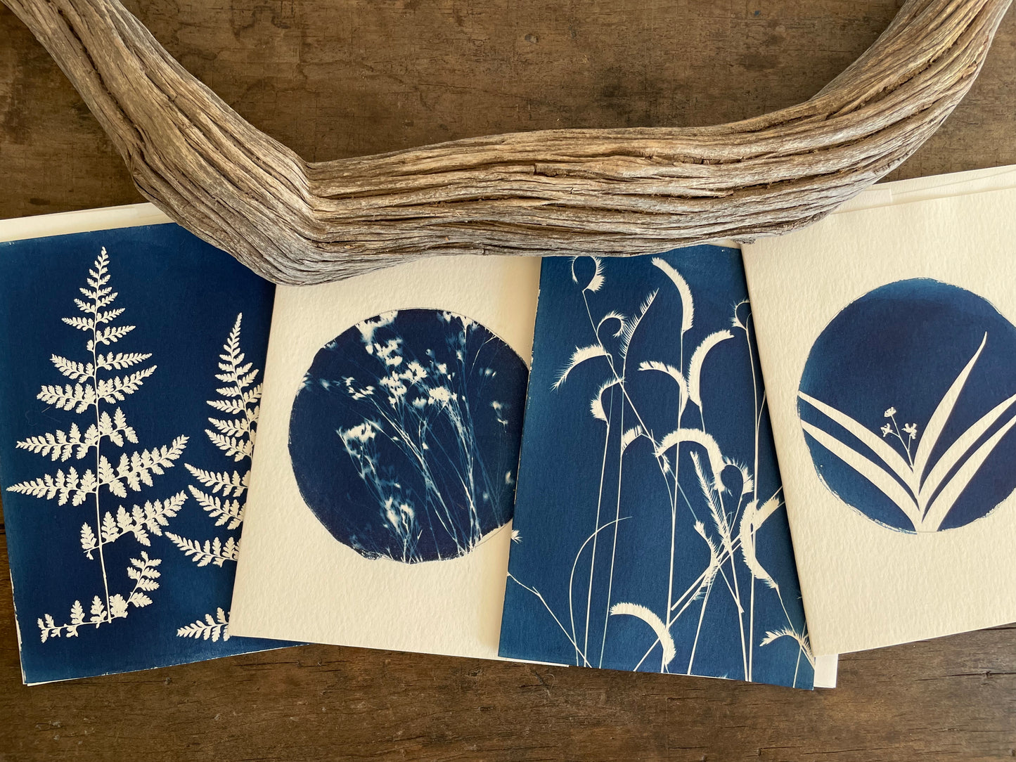 Set of 4 Unique Cyanotype Greeting Cards