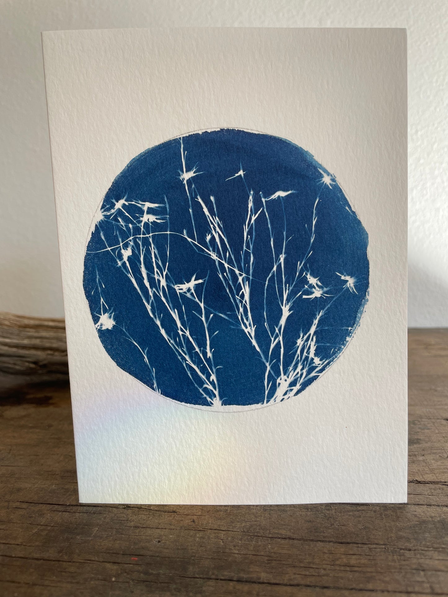 Set of 4 Unique Cyanotype Greeting Cards