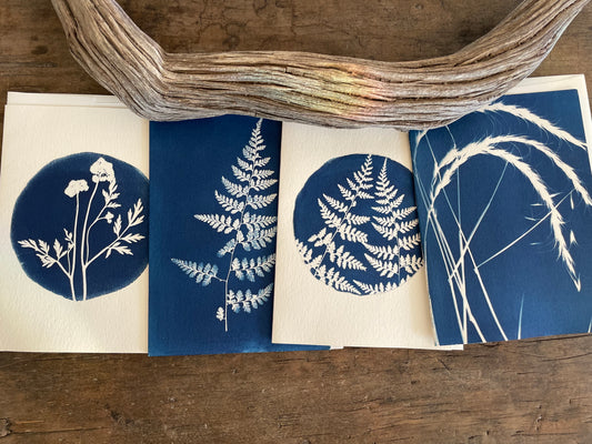 Set of 4 Unique Cyanotype Greeting Cards