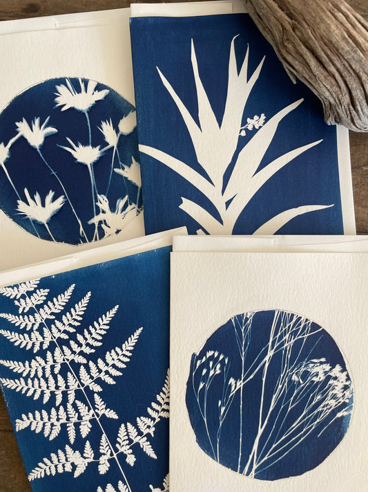 Set of 4 Unique Cyanotype Greeting Cards