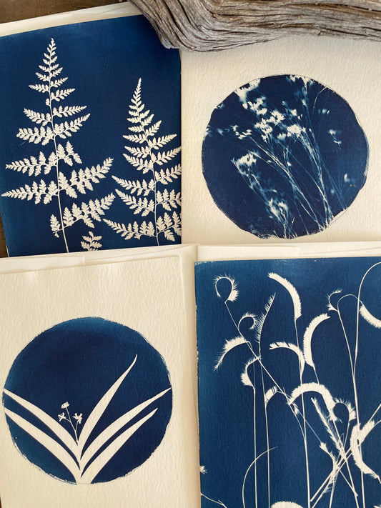 Set of 4 Unique Cyanotype Greeting Cards