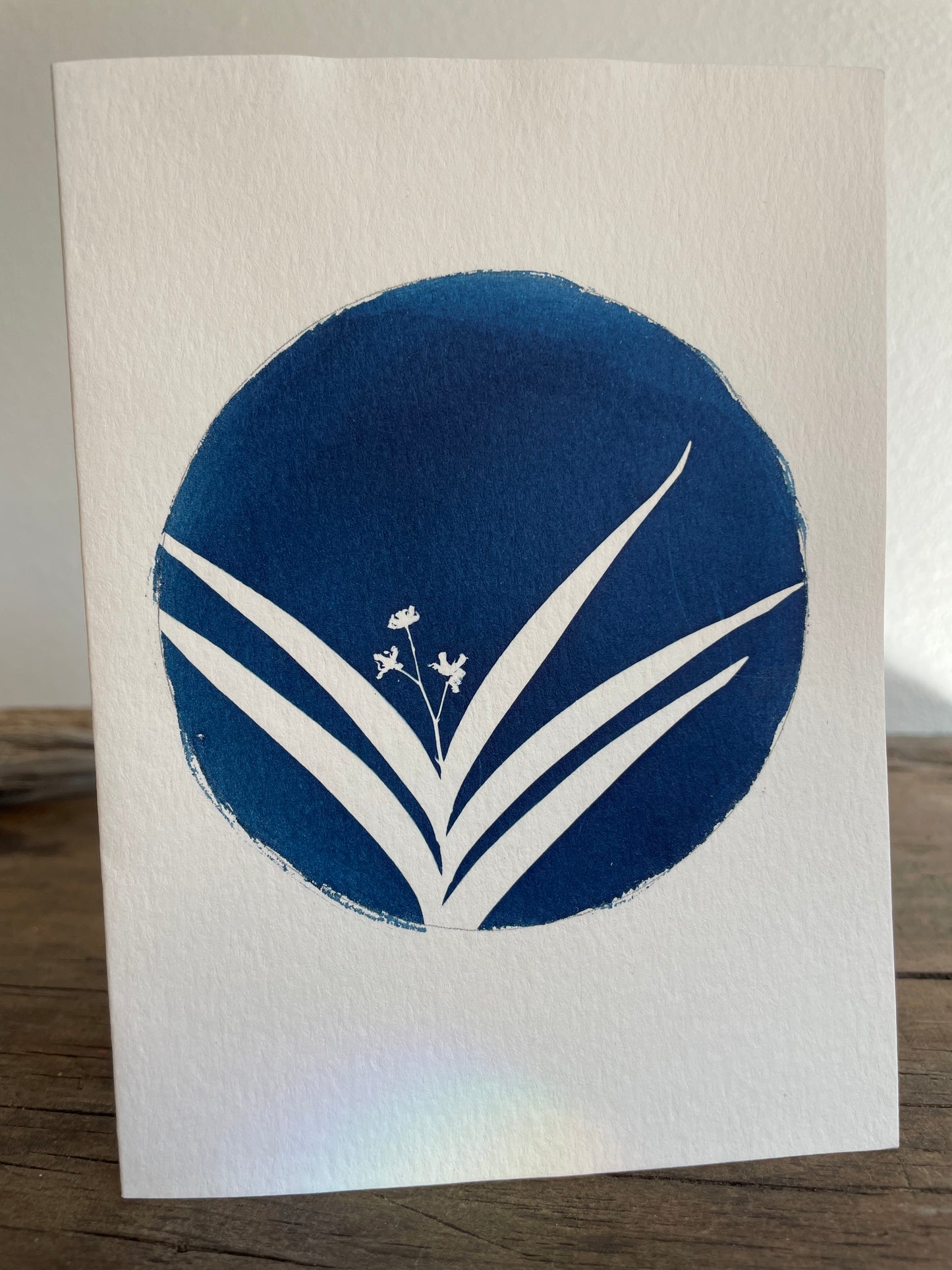 Set of 4 Unique Cyanotype Greeting Cards