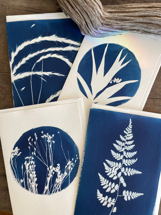 Set of 4 Unique Cyanotype Greeting Cards