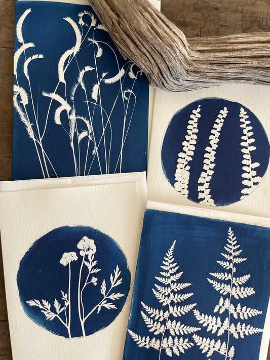 Set of 4 Unique Cyanotype Greeting Cards