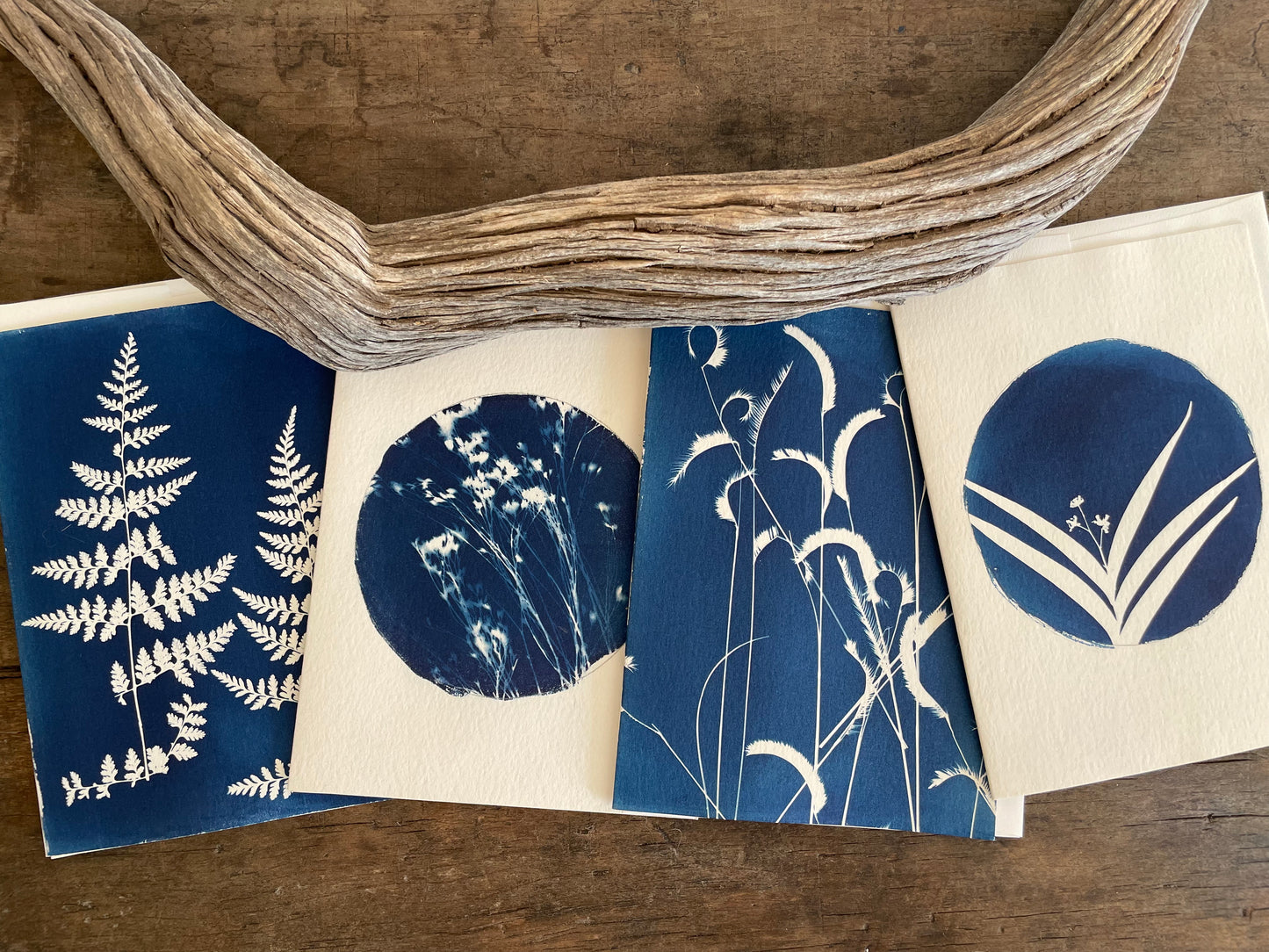 Set of 4 Unique Cyanotype Greeting Cards