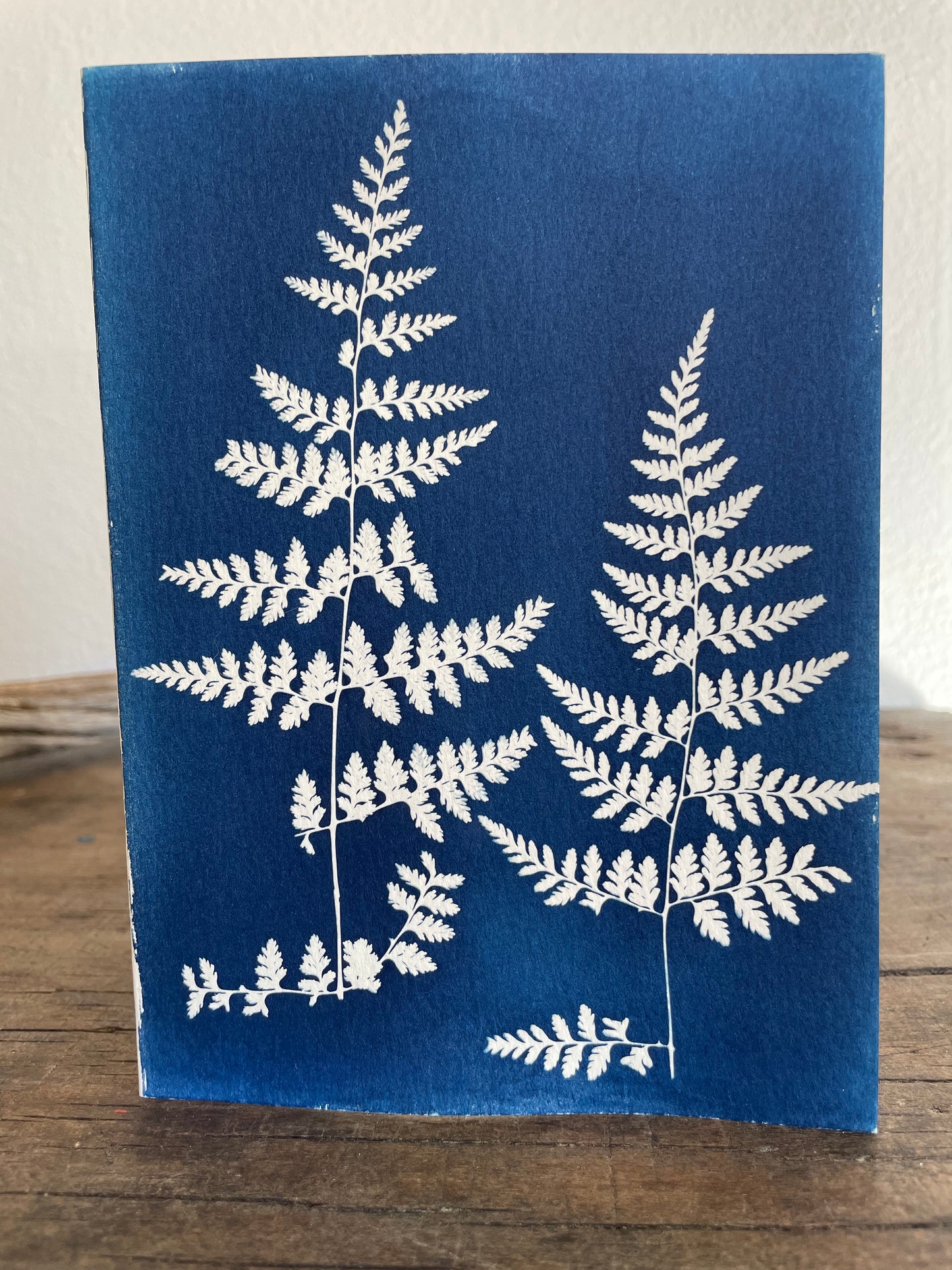 Set of 4 Unique Cyanotype Greeting Cards