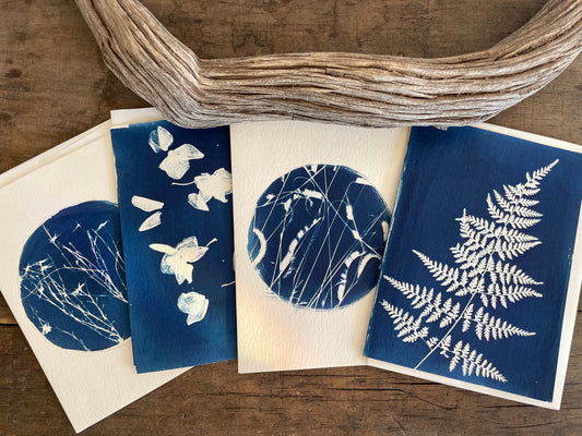 Set of 4 Unique Cyanotype Greeting Cards