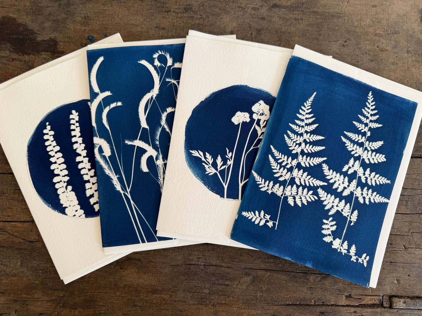 Set of 4 Unique Cyanotype Greeting Cards